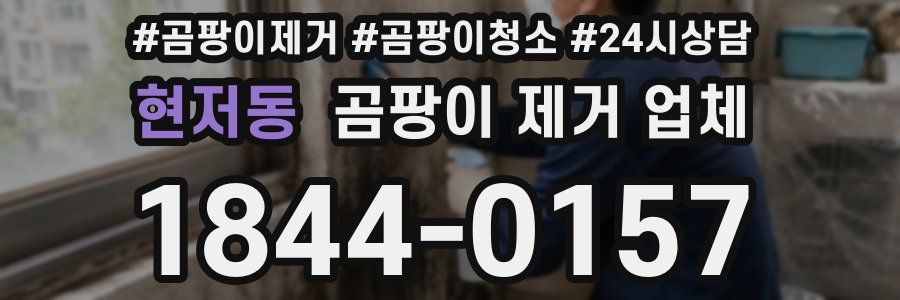 현저동 곰팡이 제거 업체