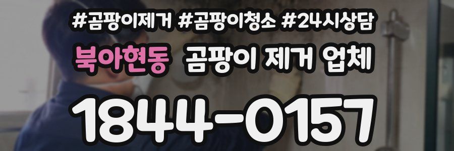 북아현동 곰팡이 제거 업체