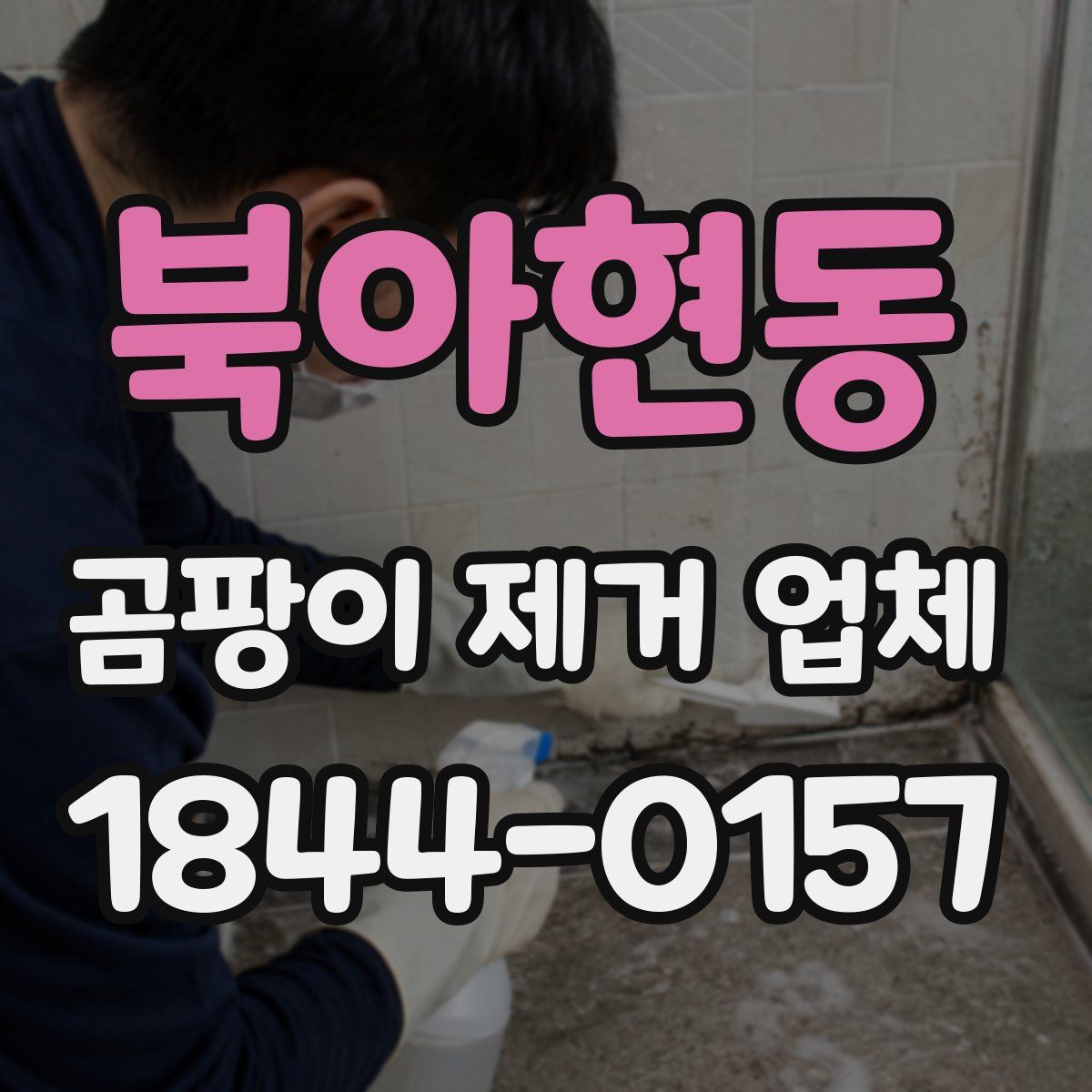 북아현동 곰팡이 제거 업체