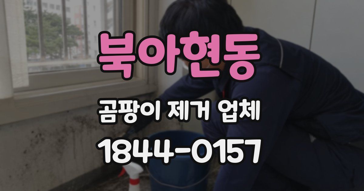 북아현동 곰팡이 제거 업체