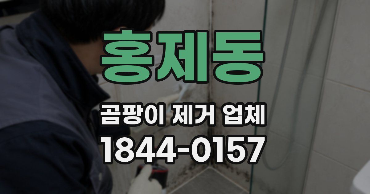 홍제동 곰팡이 제거 업체