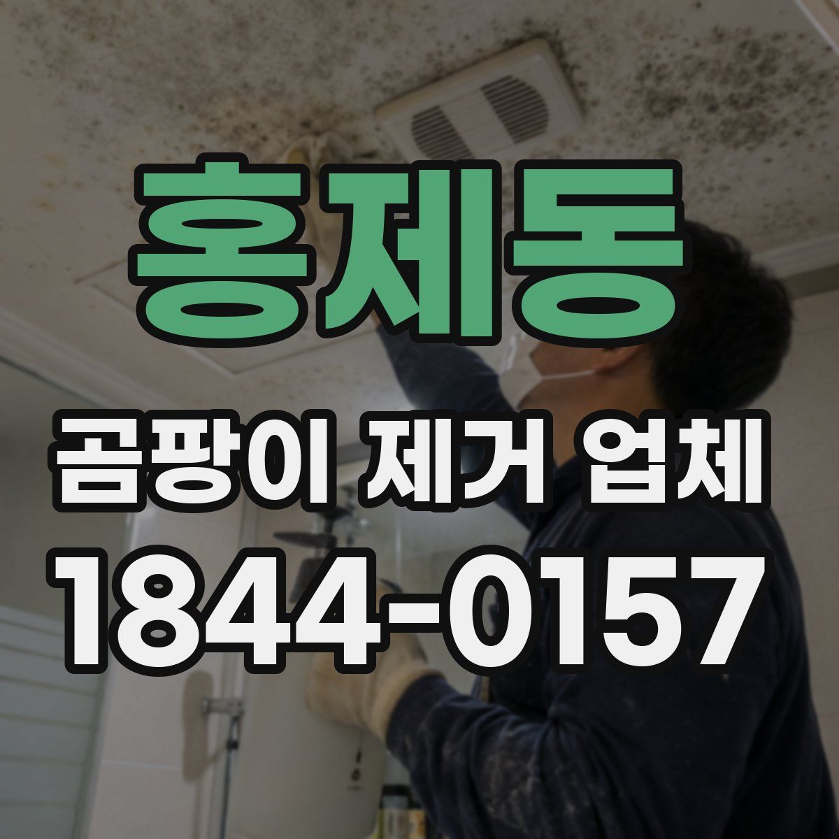홍제동 곰팡이 제거 업체