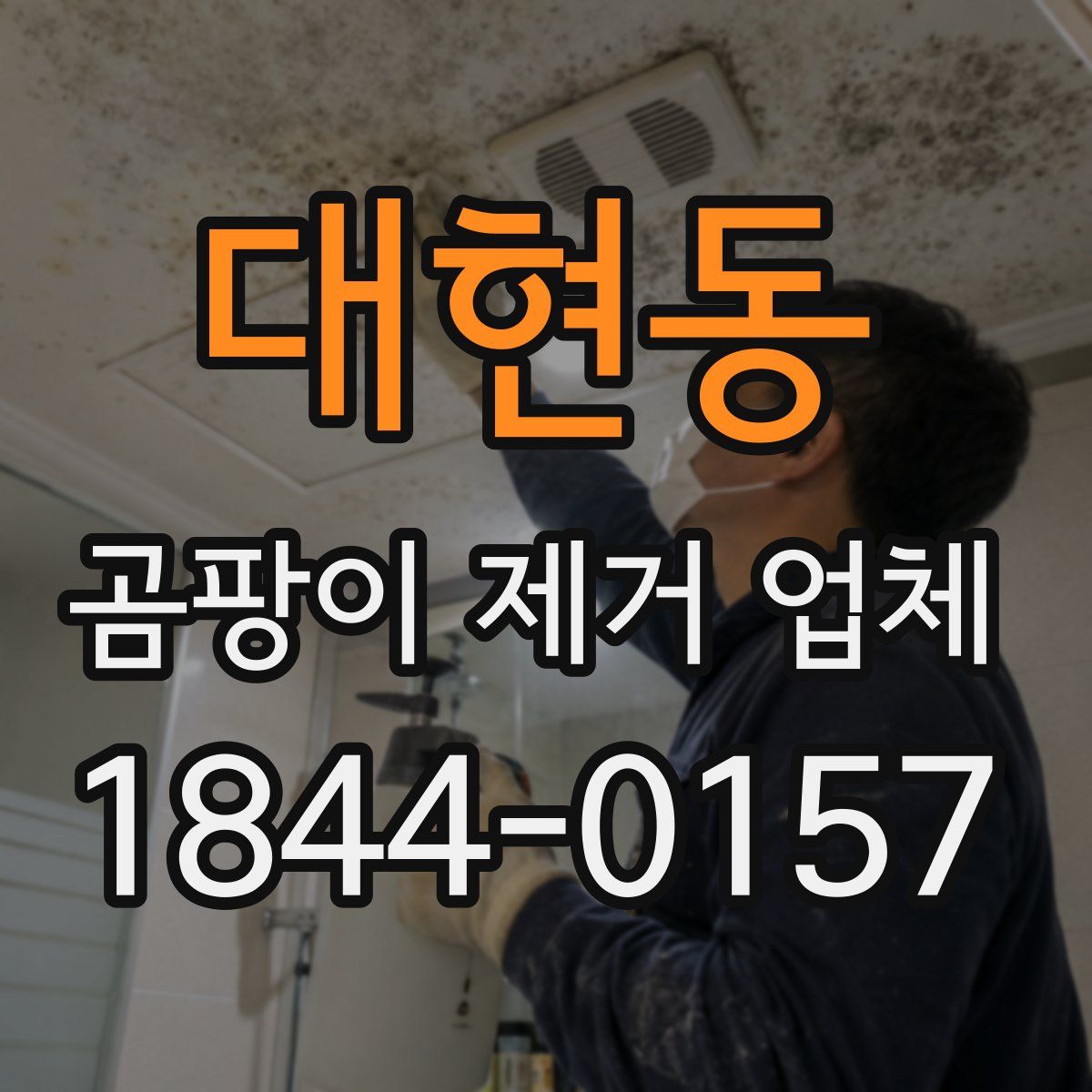 대현동 곰팡이 제거 업체