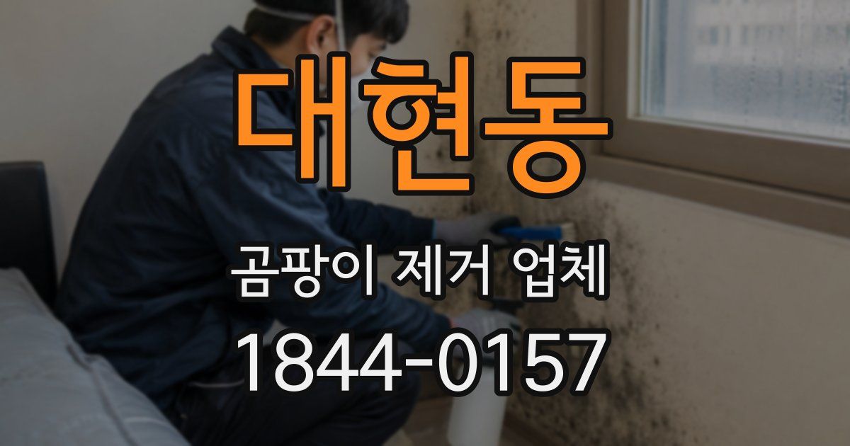 대현동 곰팡이 제거 업체