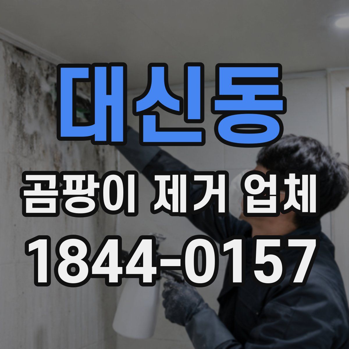 대신동 곰팡이 제거 업체