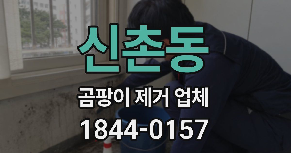 신촌동 곰팡이 제거 업체