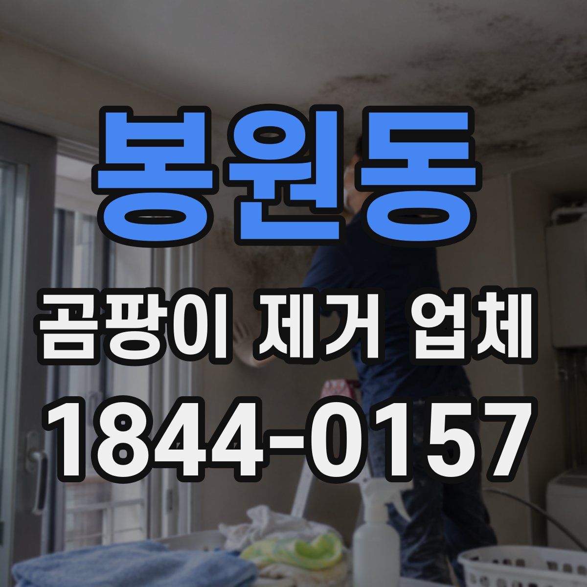 봉원동 곰팡이 제거 업체