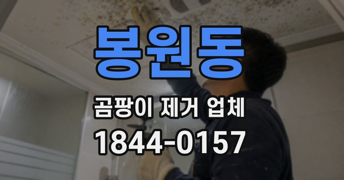 봉원동 곰팡이 제거 업체