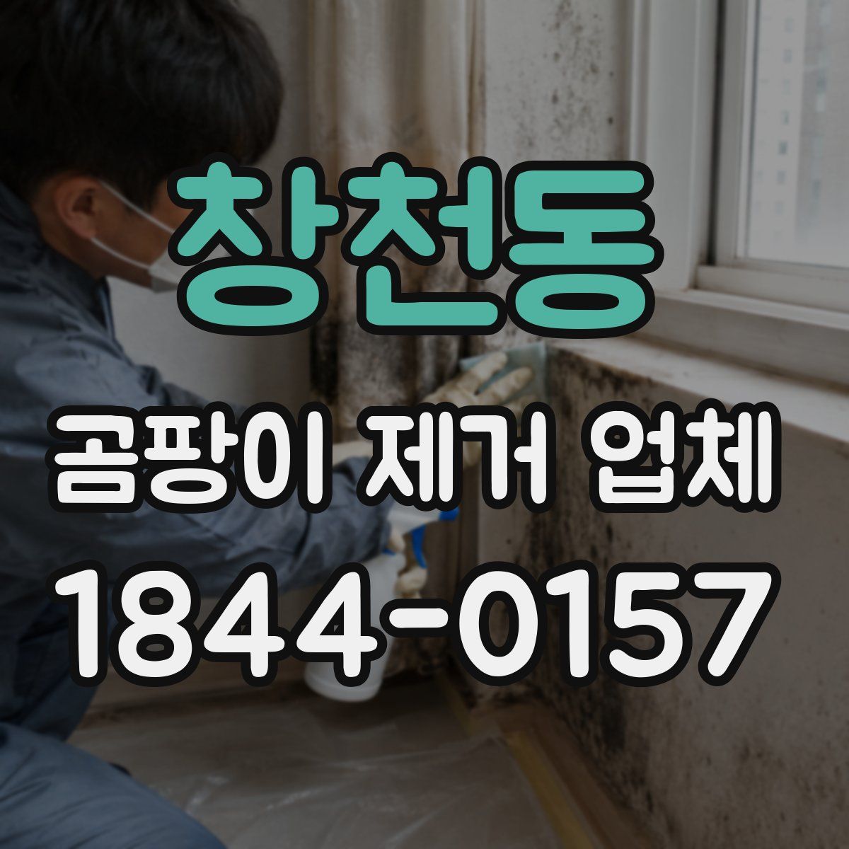 창천동 곰팡이 제거 업체