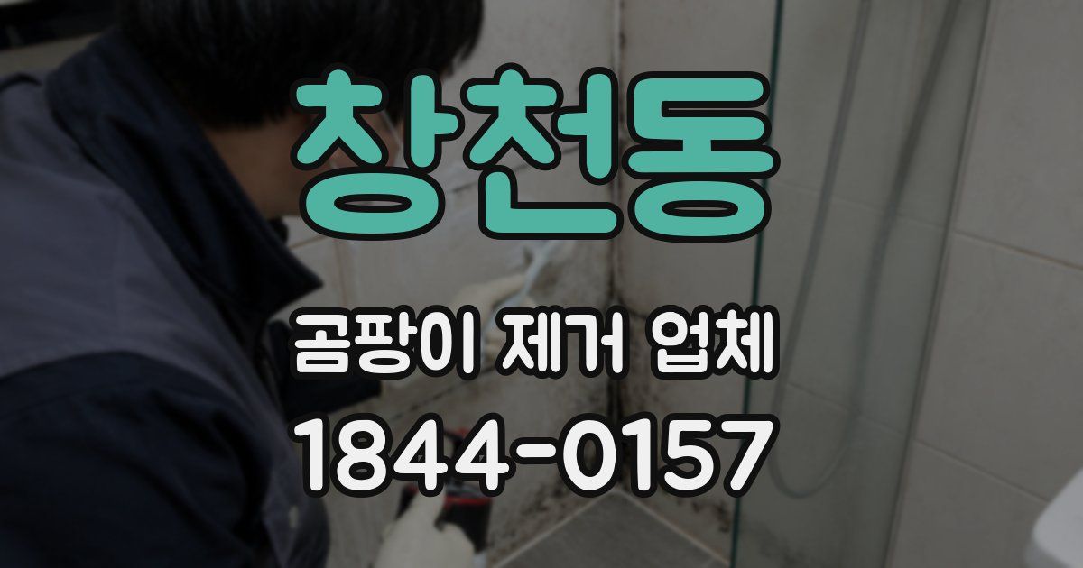 창천동 곰팡이 제거 업체