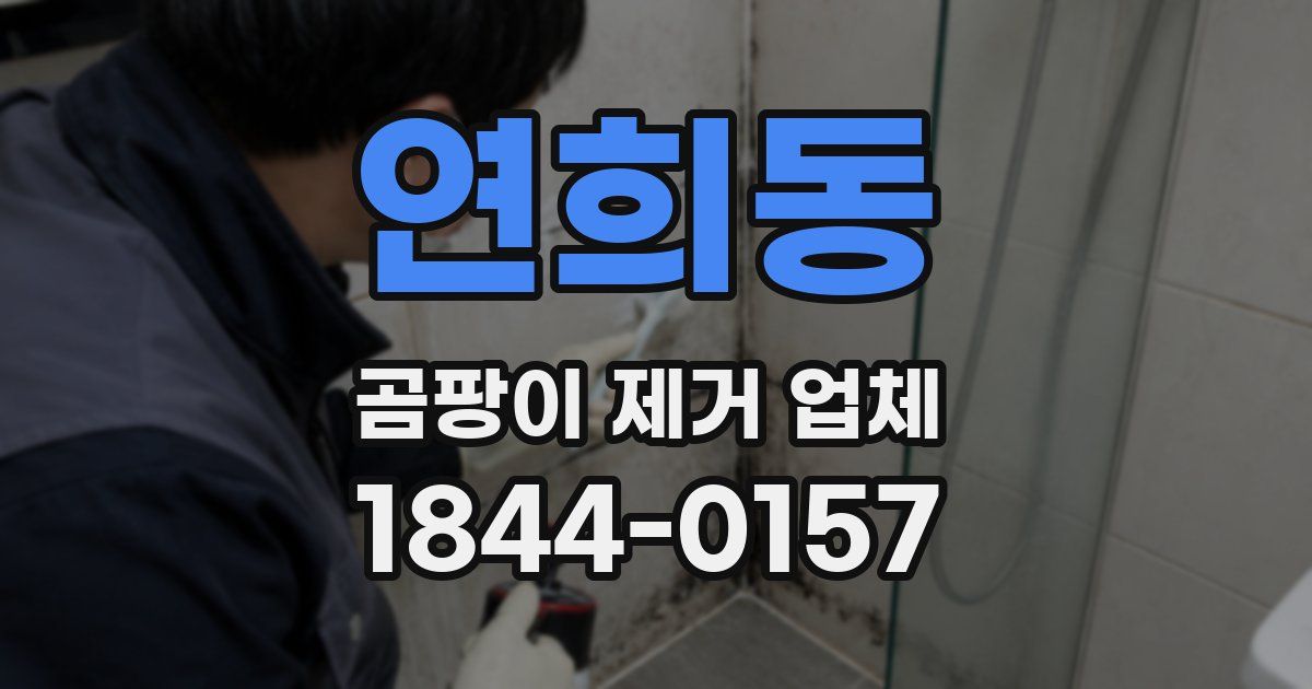 연희동 곰팡이 제거 업체