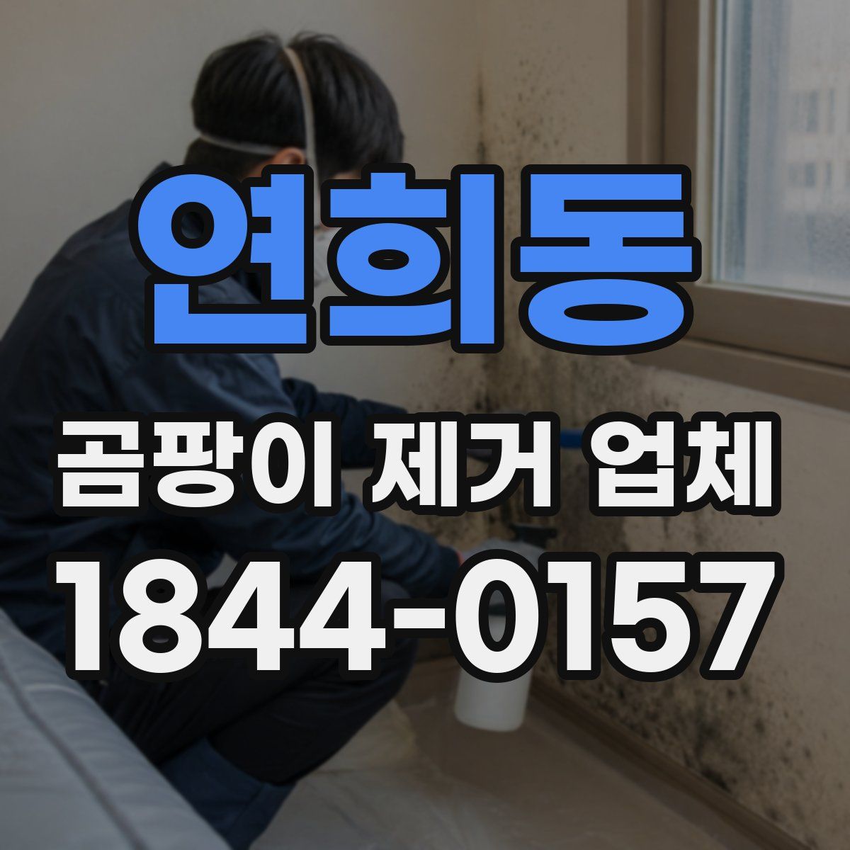 연희동 곰팡이 제거 업체
