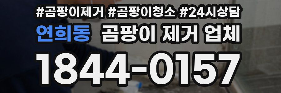 연희동 곰팡이 제거 업체