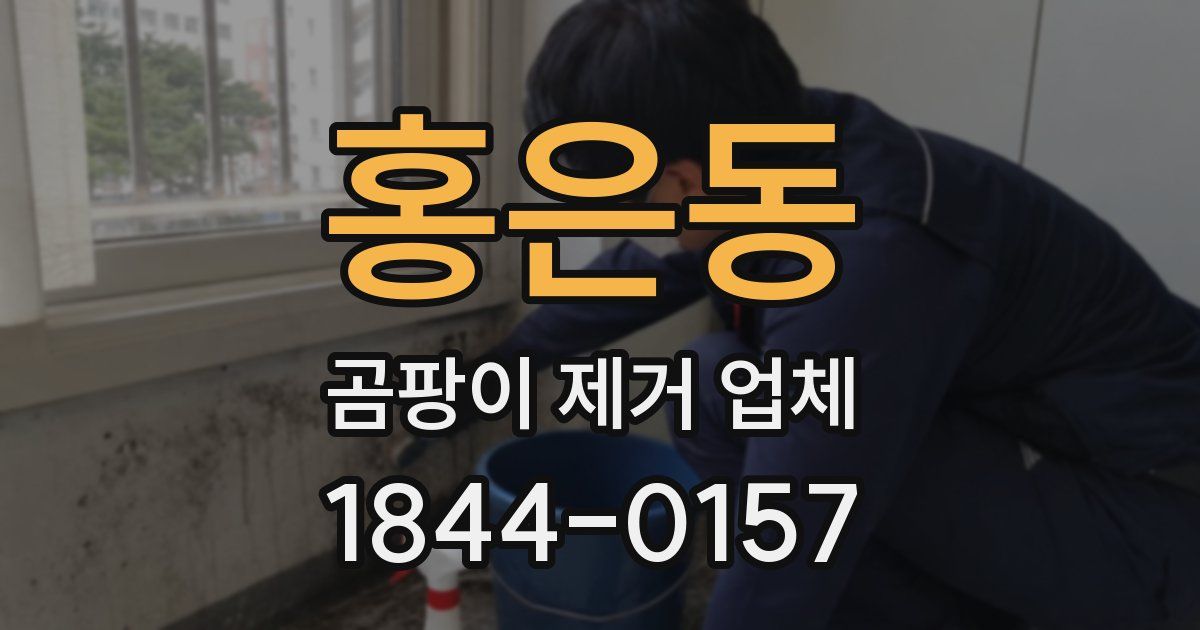 홍은동 곰팡이 제거 업체