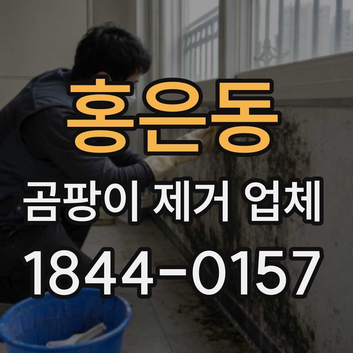 홍은동 곰팡이 제거 업체