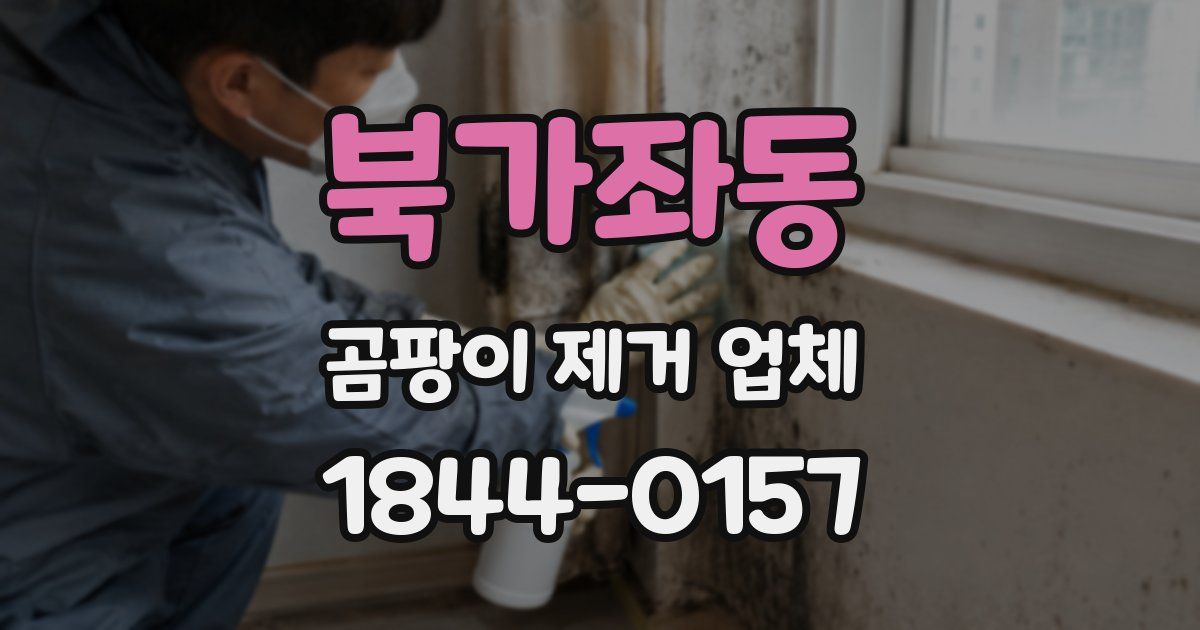 북가좌동 곰팡이 제거 업체
