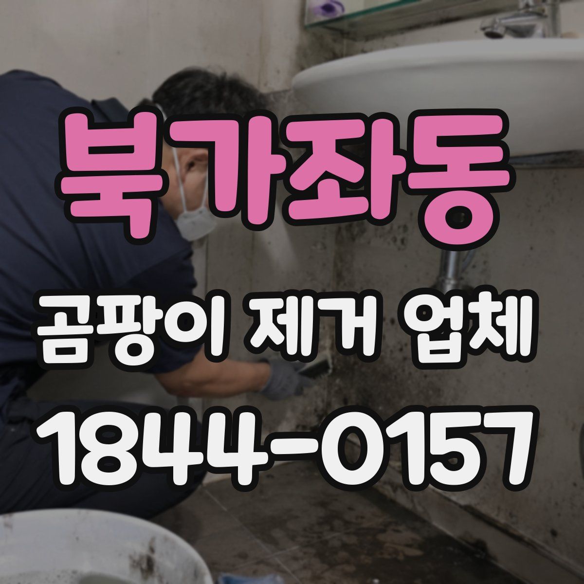 북가좌동 곰팡이 제거 업체
