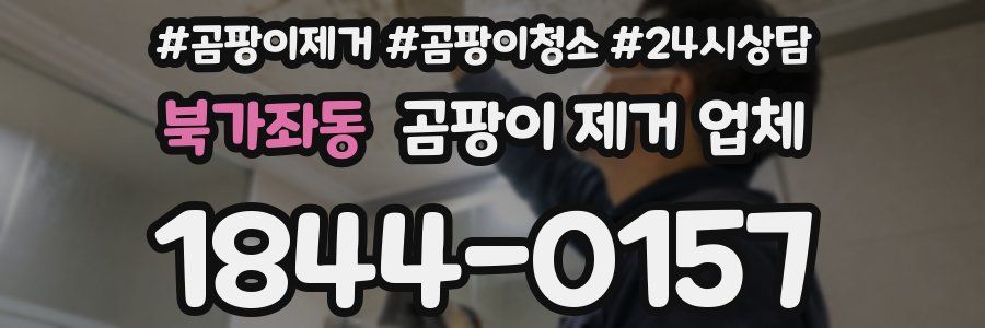 북가좌동 곰팡이 제거 업체