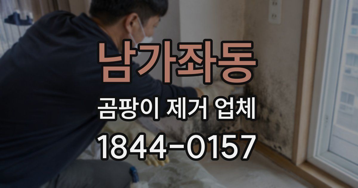 남가좌동 곰팡이 제거 업체