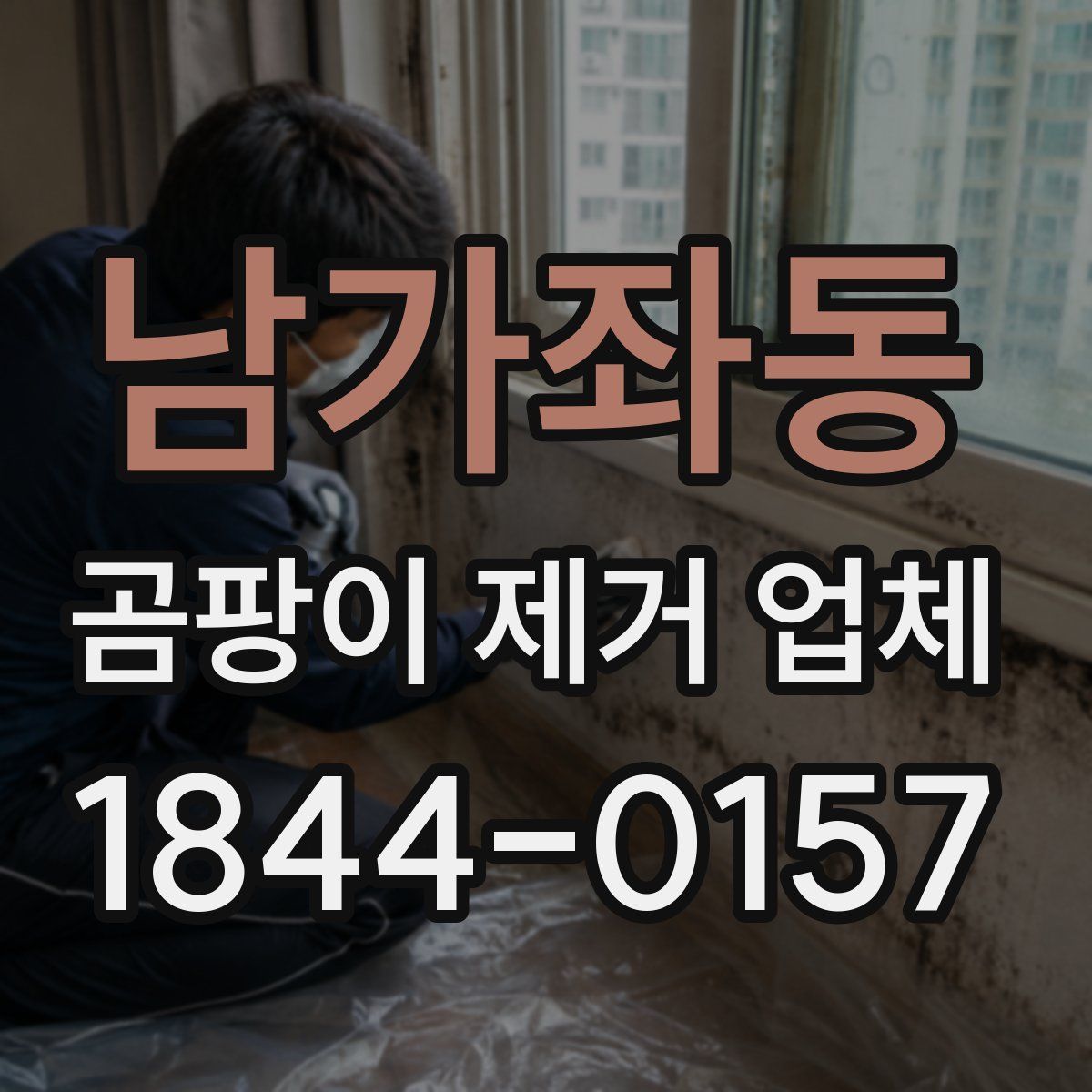남가좌동 곰팡이 제거 업체