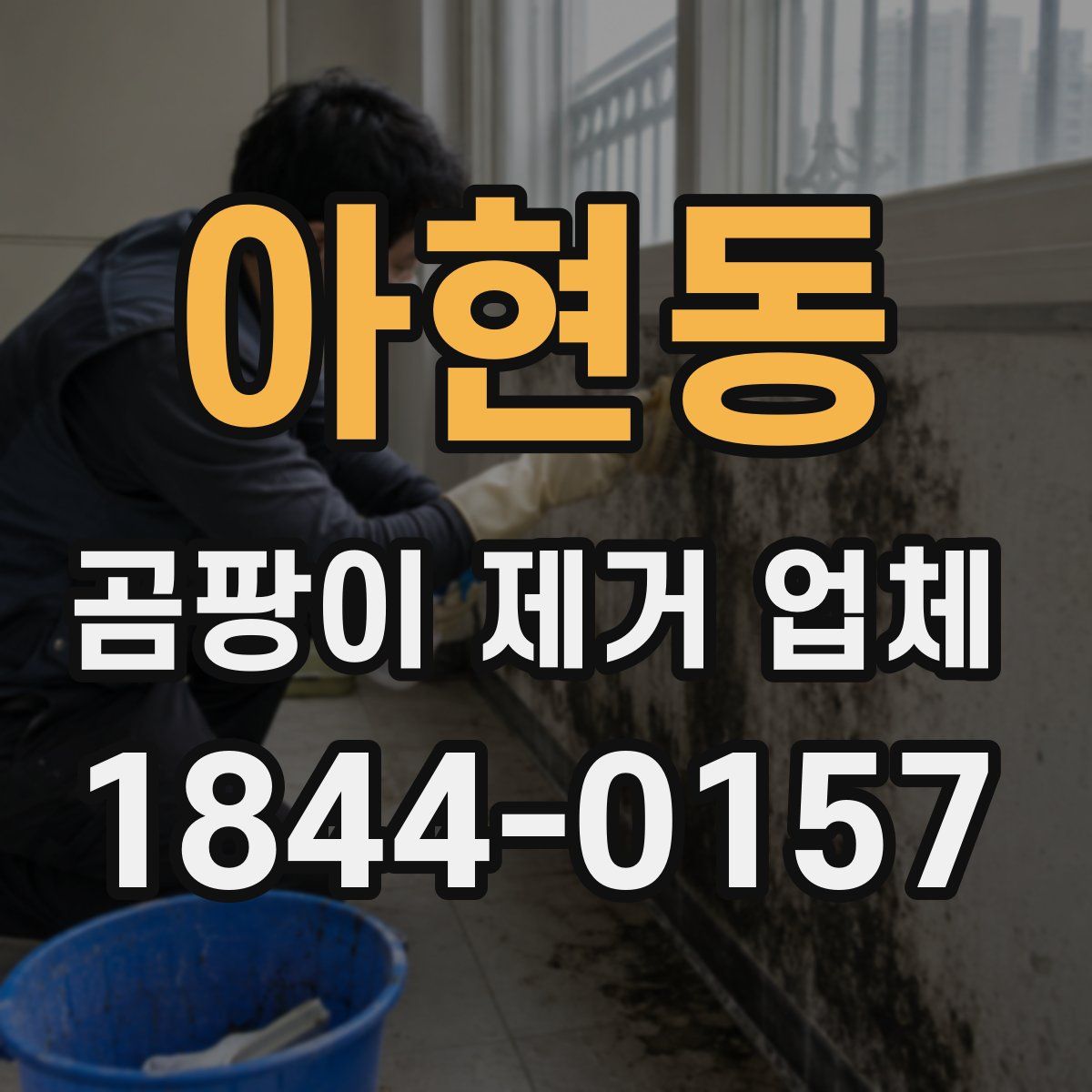 아현동 곰팡이 제거 업체