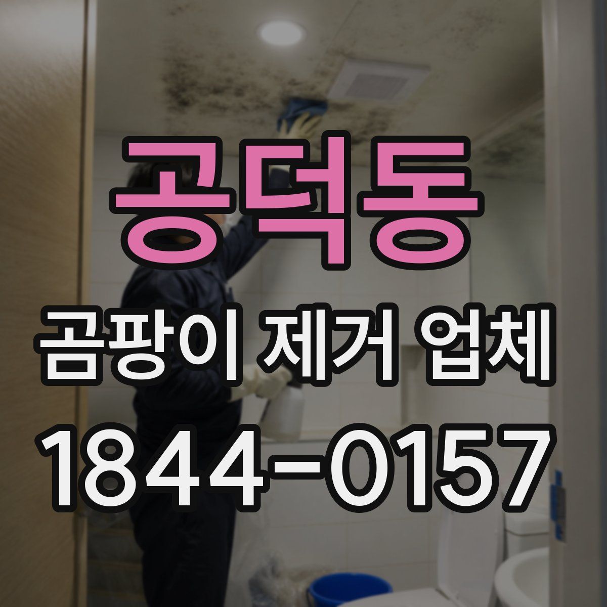 공덕동 곰팡이 제거 업체