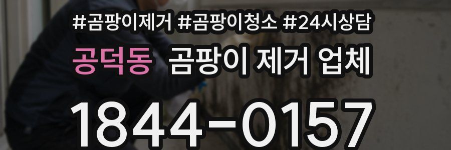 공덕동 곰팡이 제거 업체
