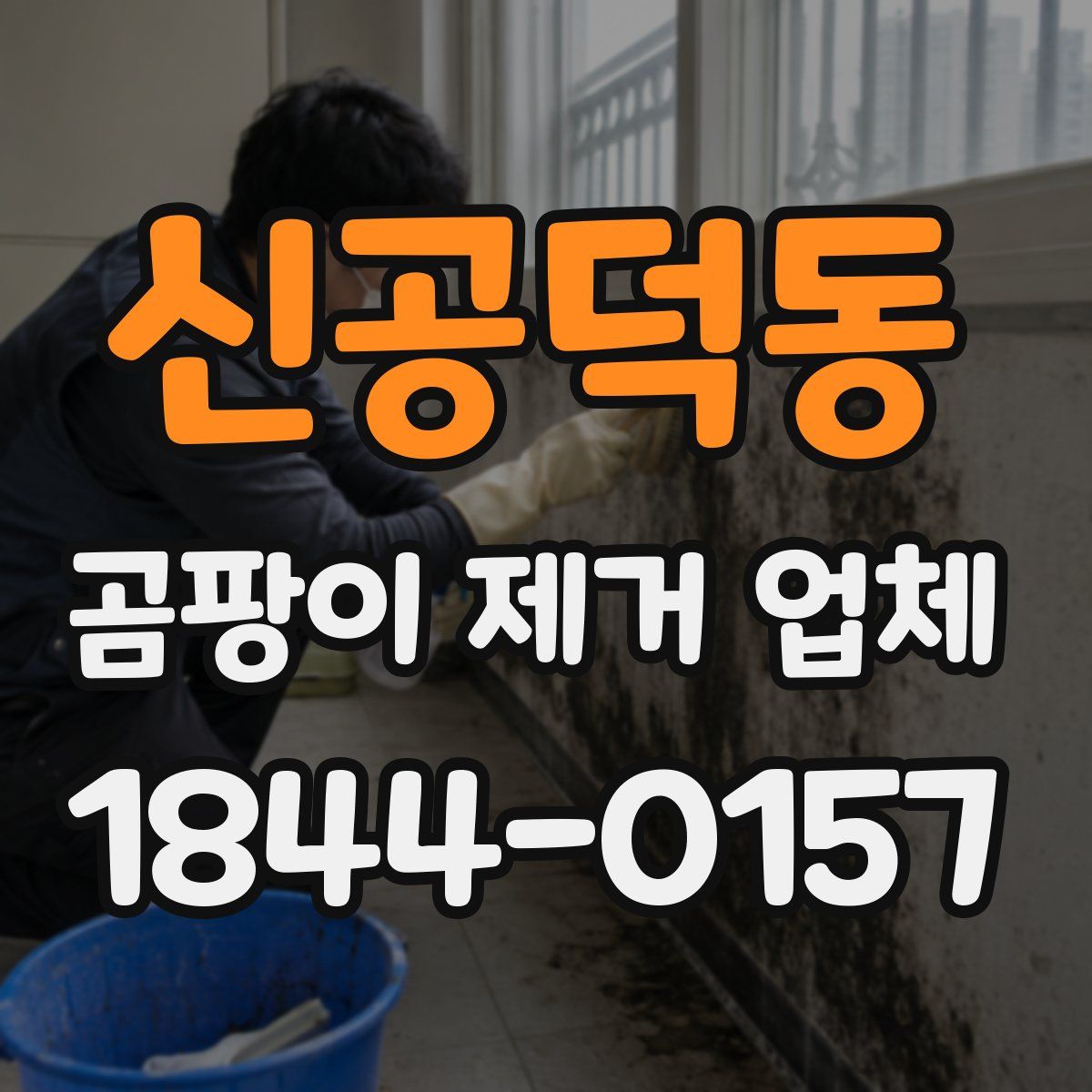 신공덕동 곰팡이 제거 업체