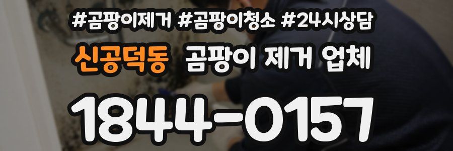 신공덕동 곰팡이 제거 업체