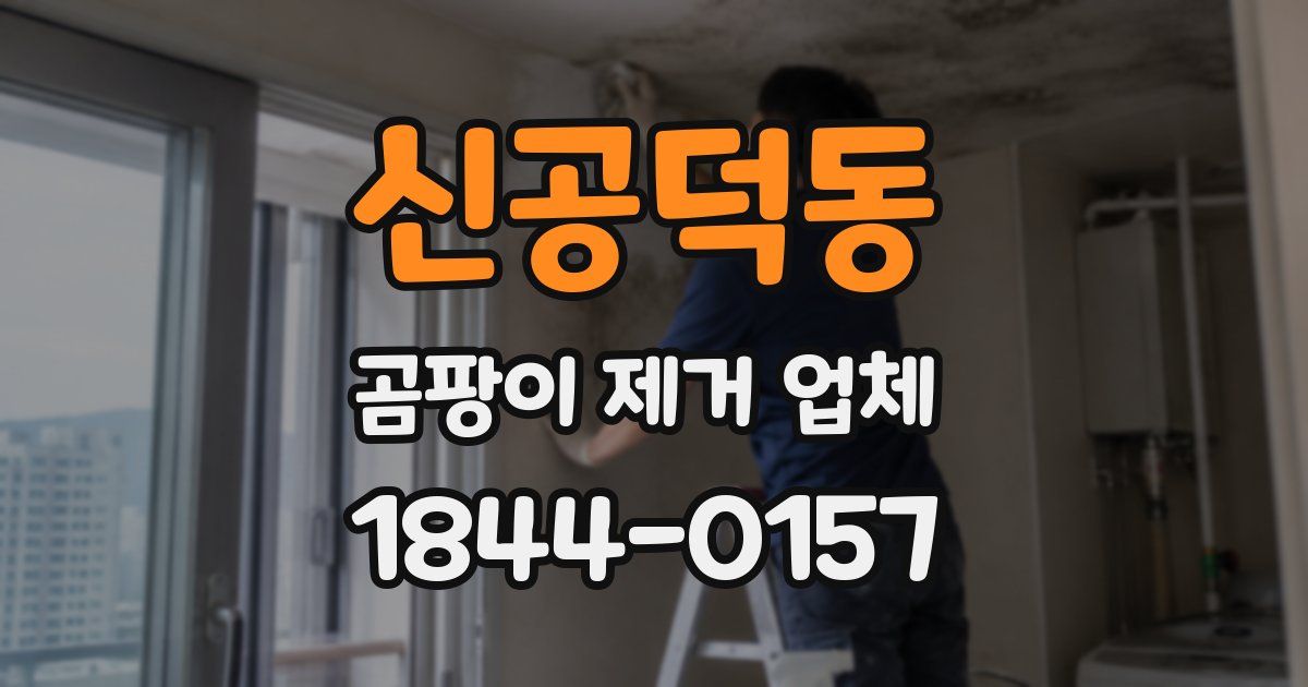 신공덕동 곰팡이 제거 업체