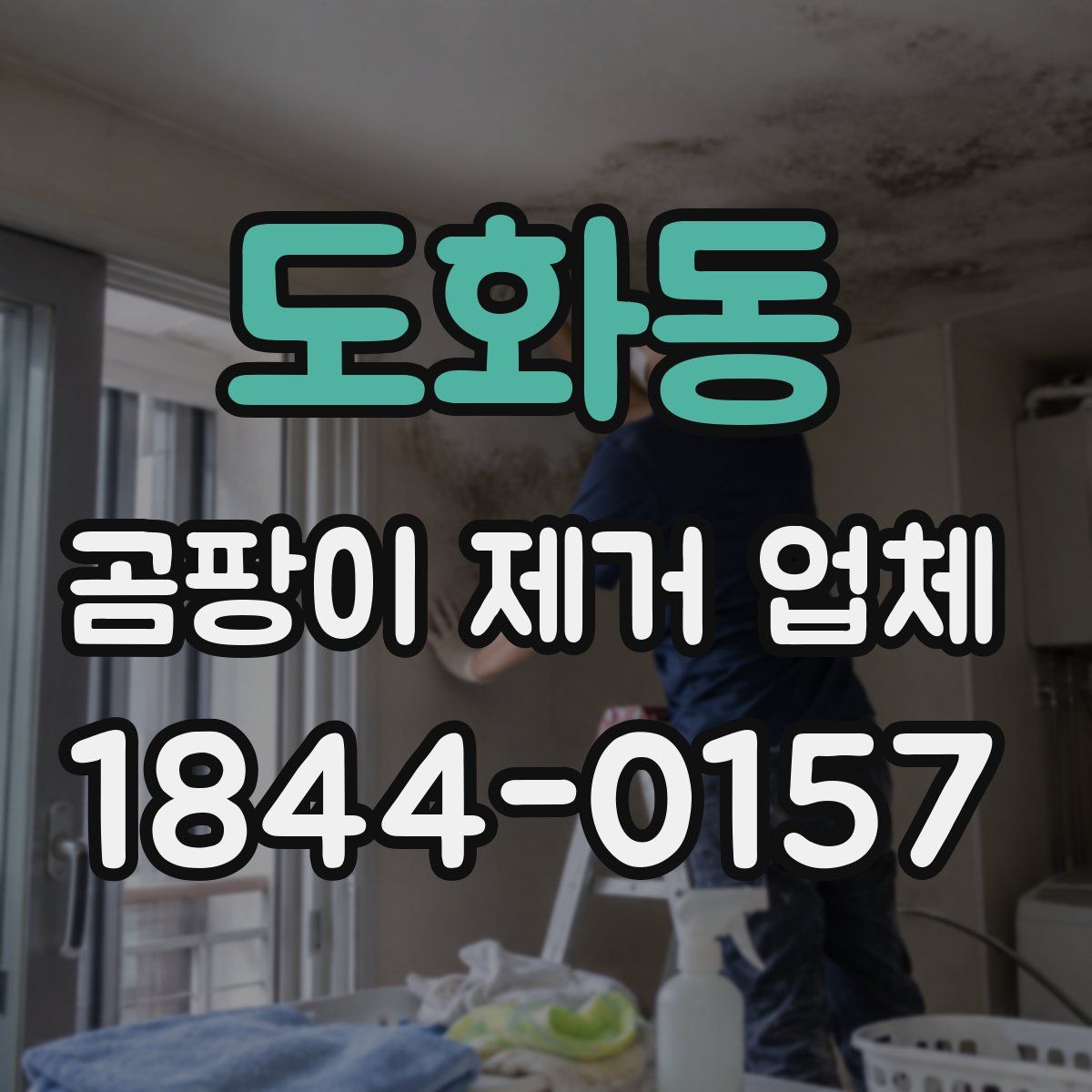 도화동 곰팡이 제거 업체