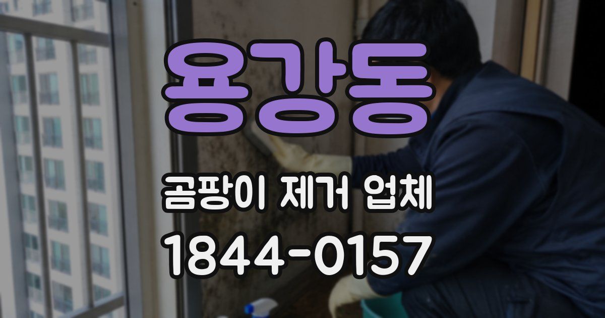 용강동 곰팡이 제거 업체