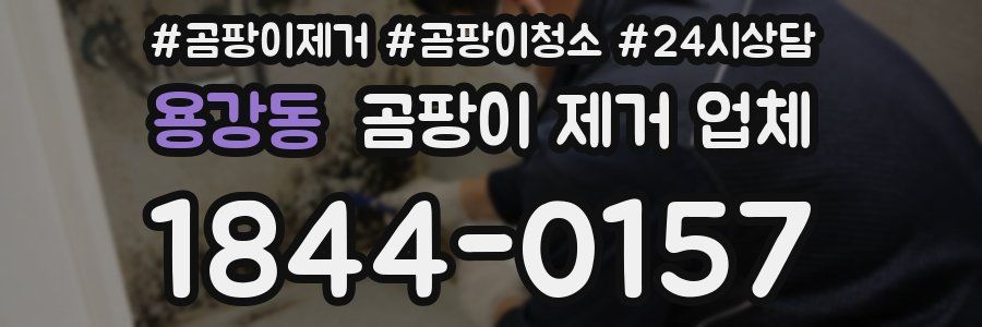 용강동 곰팡이 제거 업체