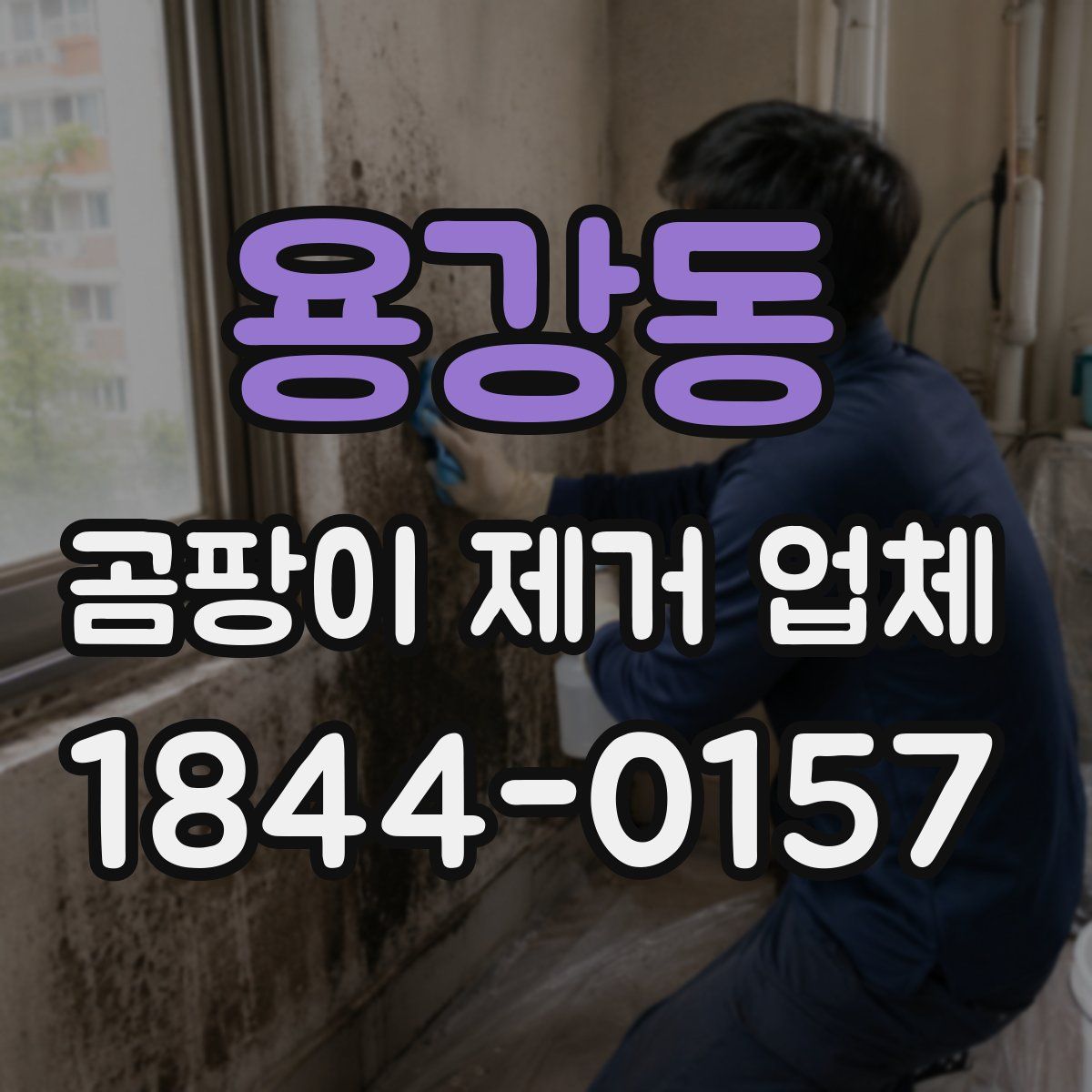용강동 곰팡이 제거 업체