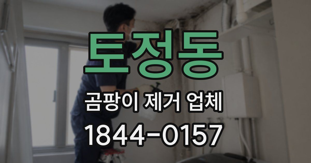 토정동 곰팡이 제거 업체