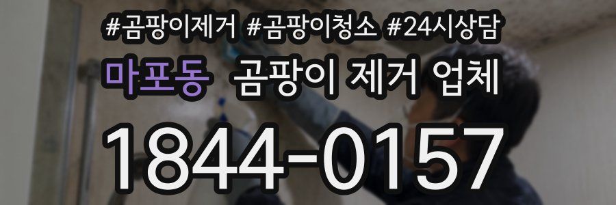 마포동 곰팡이 제거 업체