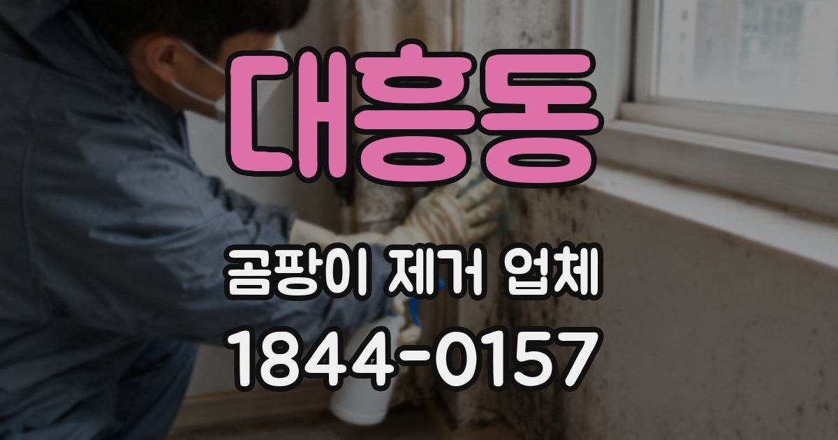 대흥동 곰팡이 제거 업체