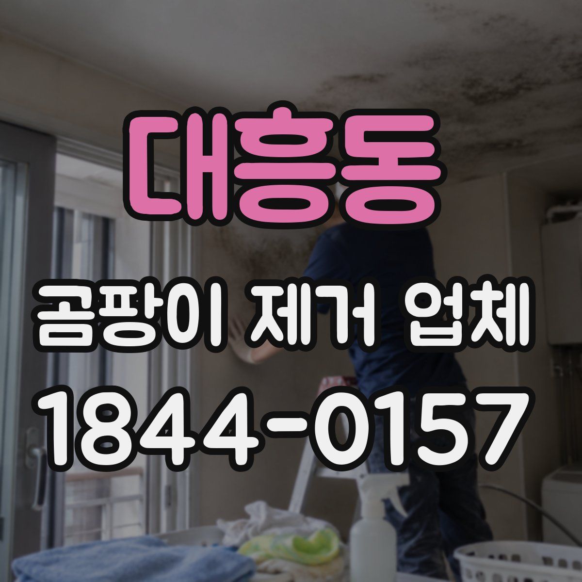 대흥동 곰팡이 제거 업체