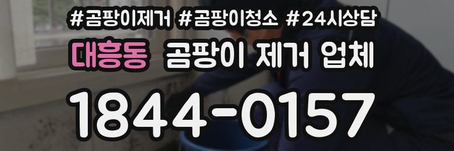 대흥동 곰팡이 제거 업체