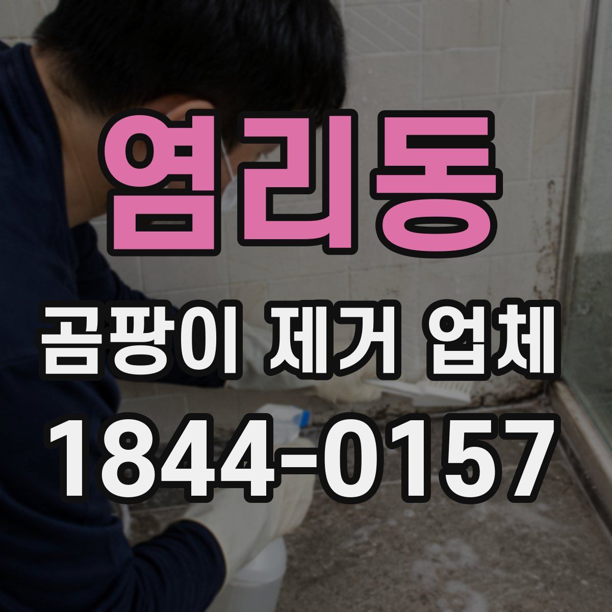 염리동 곰팡이 제거 업체