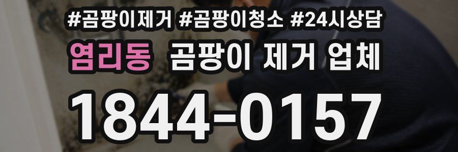 염리동 곰팡이 제거 업체