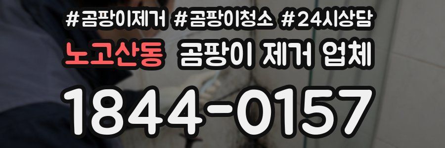 노고산동 곰팡이 제거 업체