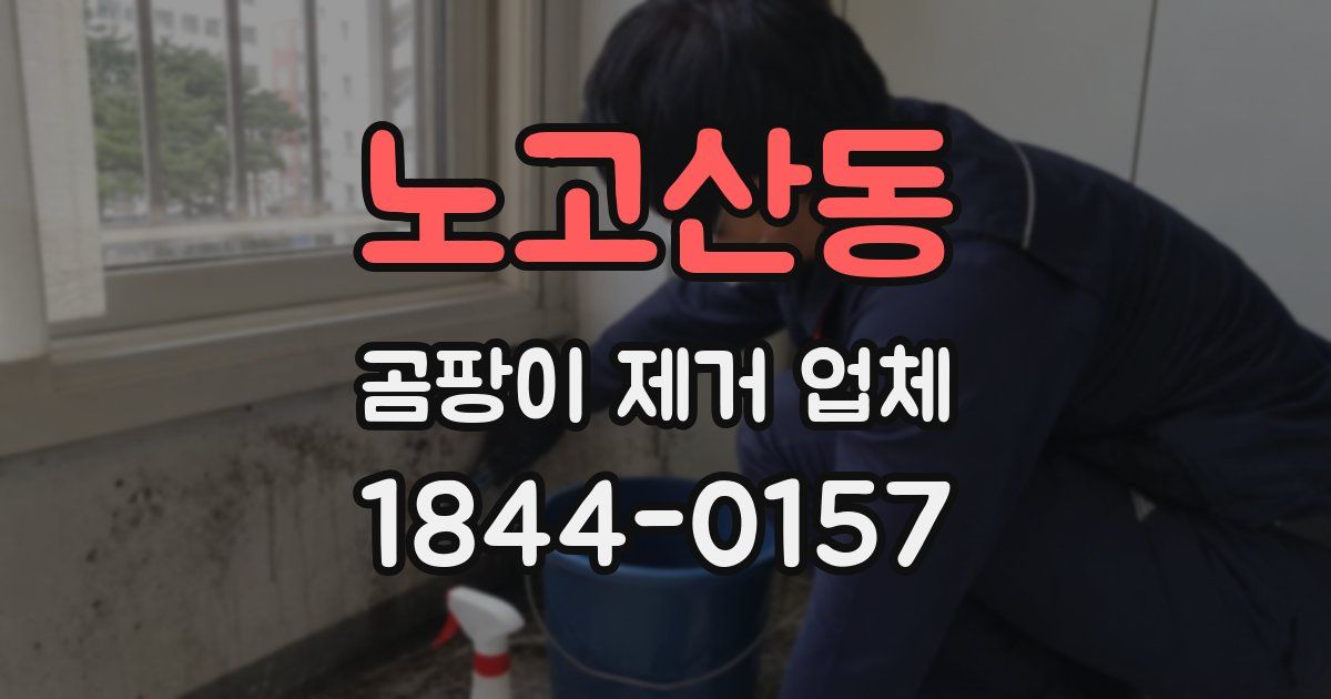 노고산동 곰팡이 제거 업체