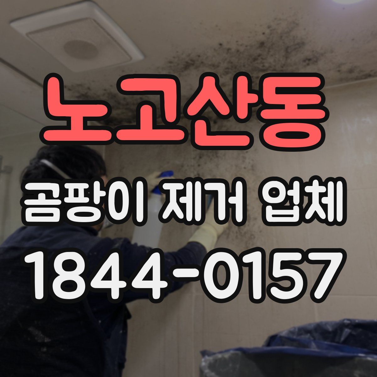 노고산동 곰팡이 제거 업체