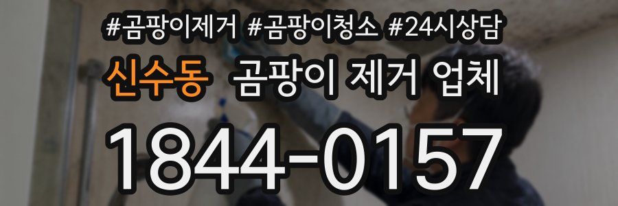 신수동 곰팡이 제거 업체