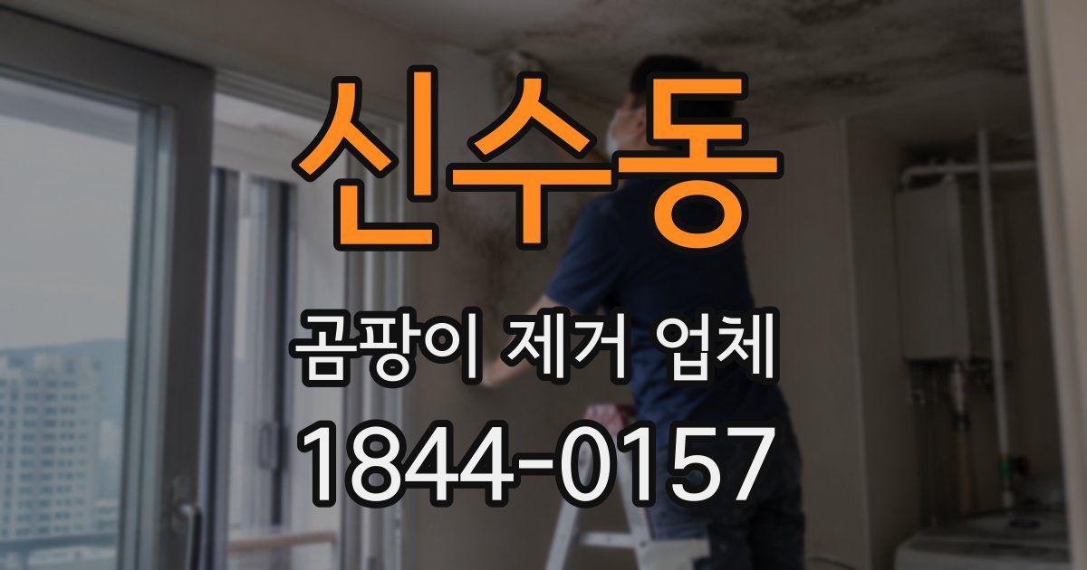 신수동 곰팡이 제거 업체
