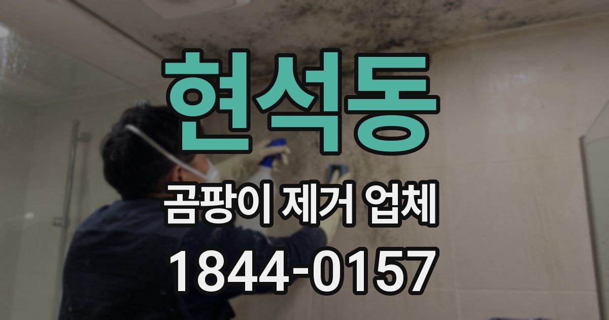 현석동 곰팡이 제거 업체