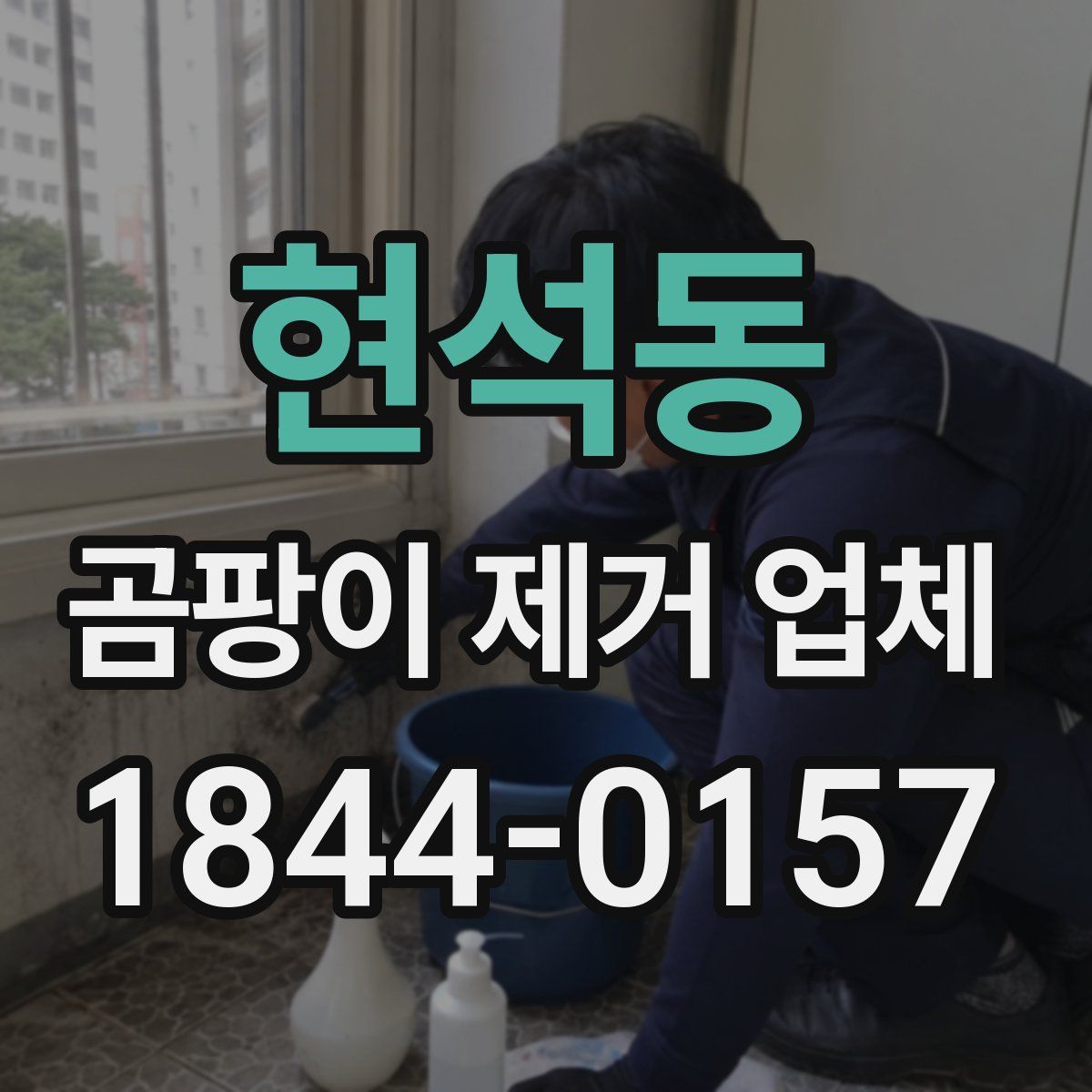 현석동 곰팡이 제거 업체