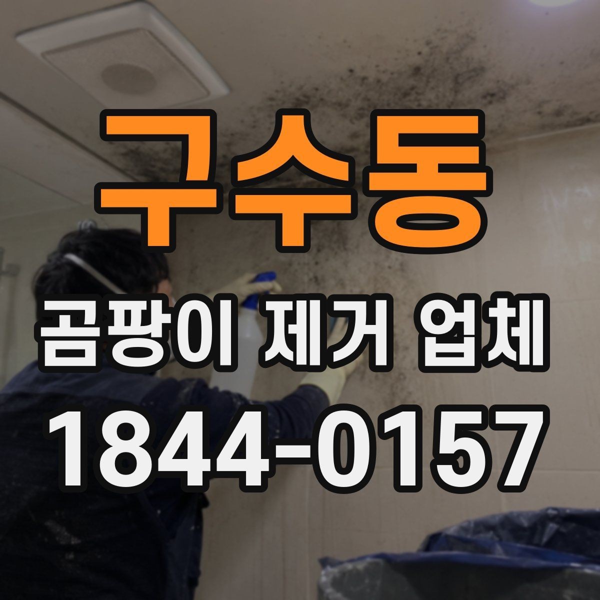 구수동 곰팡이 제거 업체 누수와 결로를 함께 확인하는 점검 순서