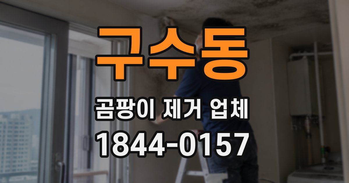 구수동 곰팡이 제거 업체